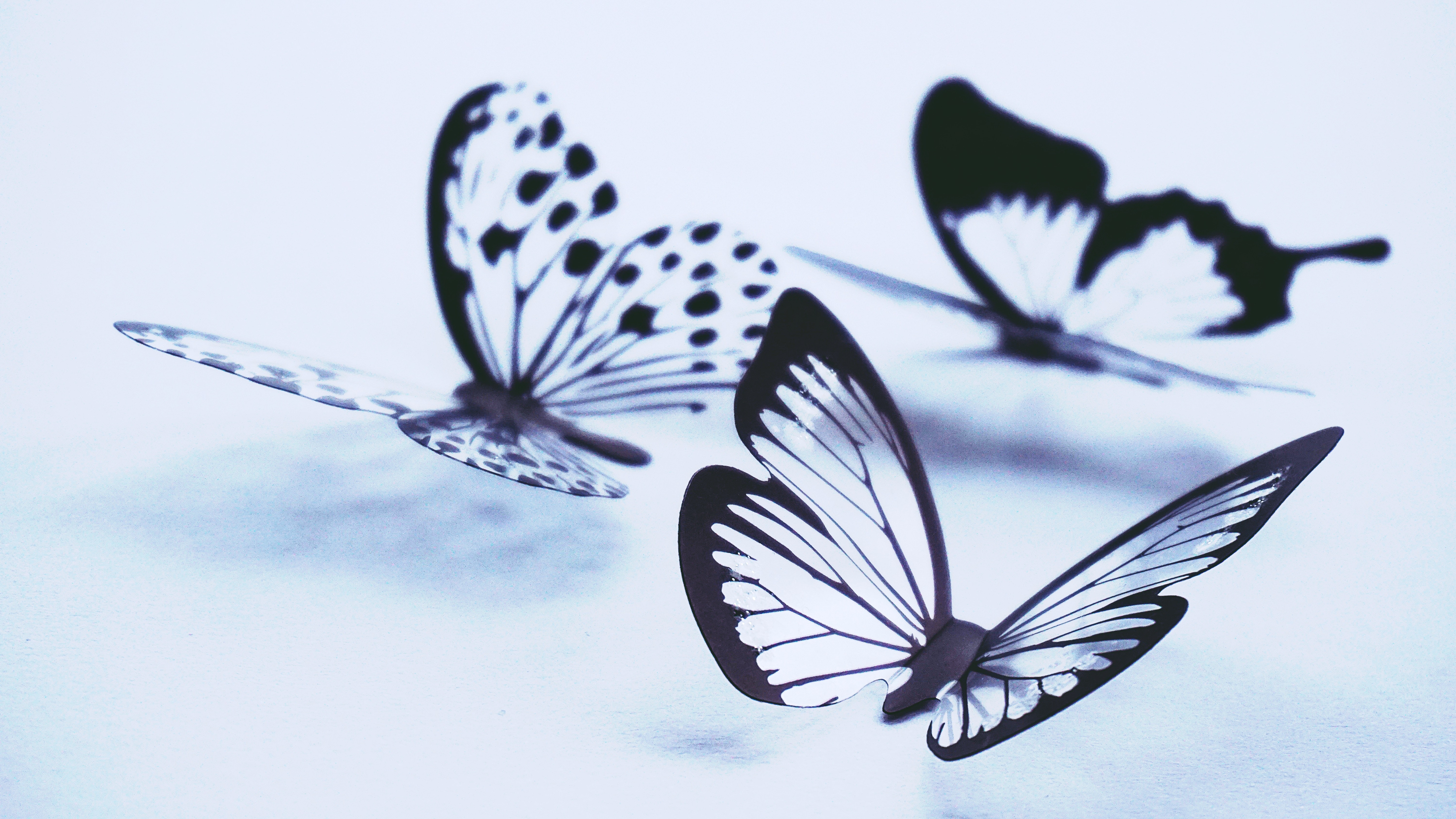 The Butterfly Way: Transforming Your Teaching